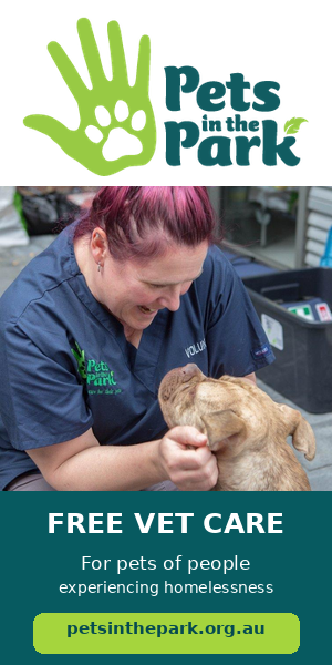 Pets in the Park — free vet care for pets of people experiencing homelessness